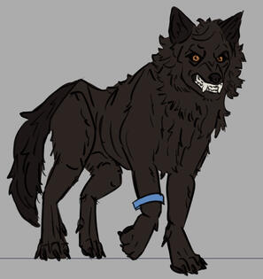 Werewolf OC.
